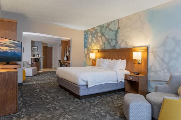 Courtyard by Marriott Asheville Airport image 8